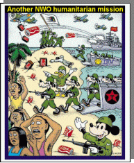 NWO_humaniratian_mission