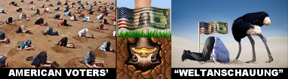 American voters weltanschauung header
