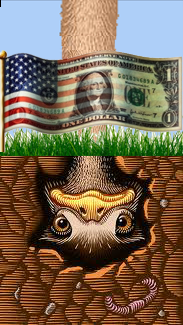 ostrich-head-in-the-ground