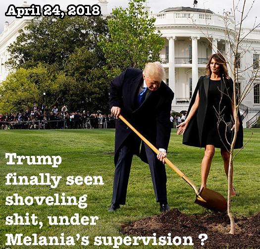 Trump shoveling