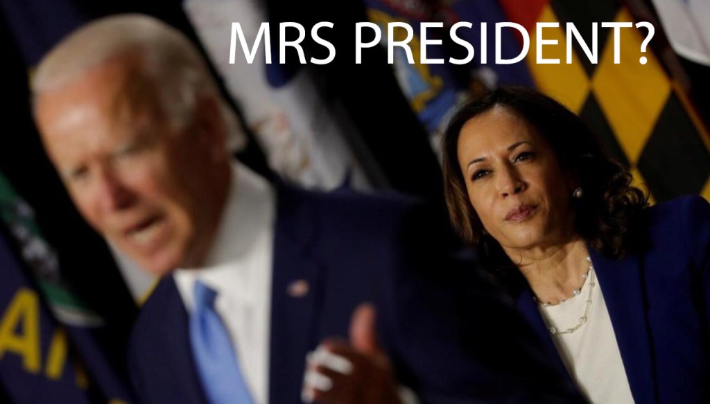 JOE BIDEN, NWO’S TROJAN HORSE, HAS NOT BEEN ELECTED PRESIDENT YET, EXCEPT BY MSM&nbsp;MEDIA