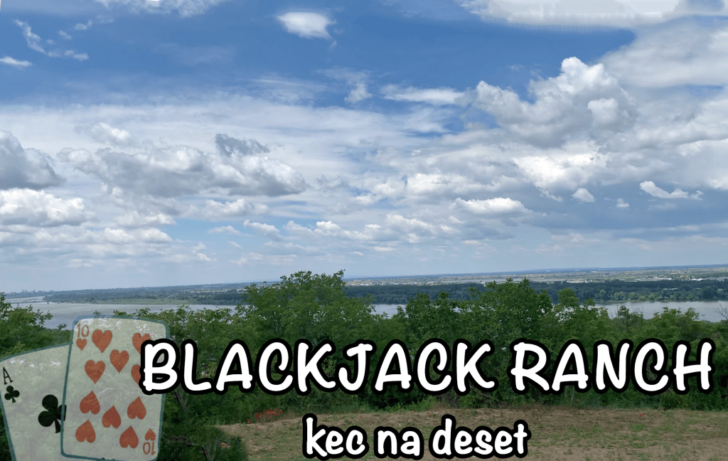 Protected: BLACKJACK RANCH