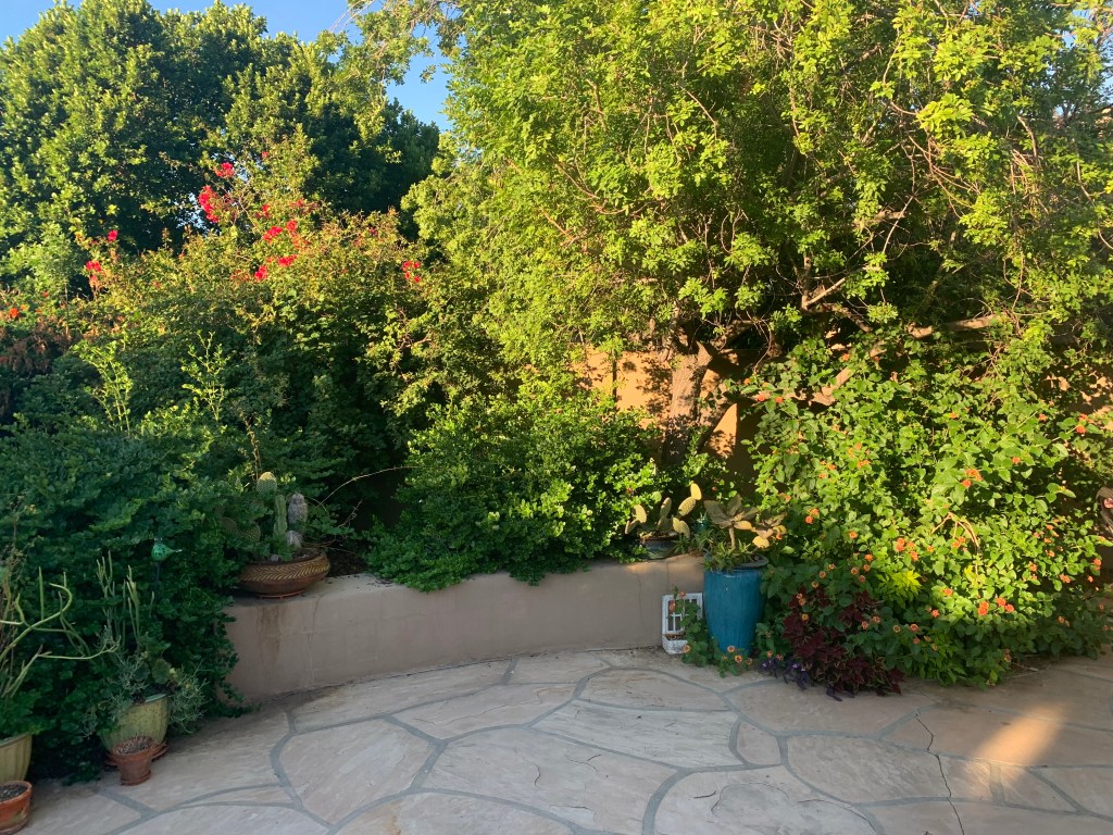 BEAUTIFUL ARIZONA DESERT